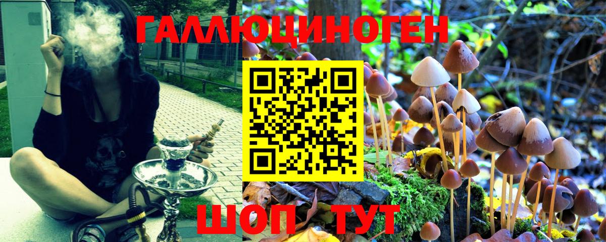 Псилоцибиновые грибы Psilocybine cubensis Тосно